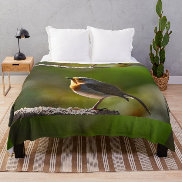 Item preview, European Robin Glowing in Warm Golden Evening Light designed and sold by Shanguai.
