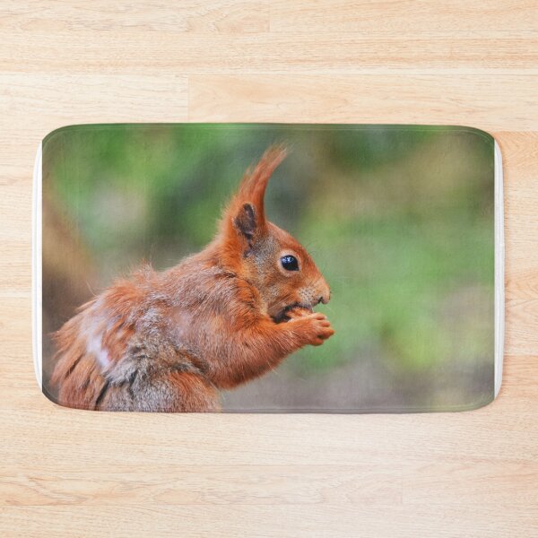 Item preview, Red Squirrel Close-Up Portrait Nibbling a Nut designed and sold by Shanguai.