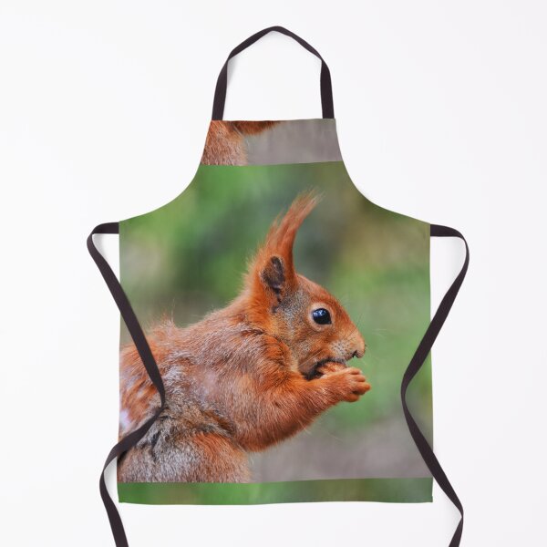 Item preview, Red Squirrel Close-Up Portrait Nibbling a Nut designed and sold by Shanguai.