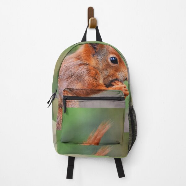 Item preview, Red Squirrel Close-Up Portrait Nibbling a Nut designed and sold by Shanguai.