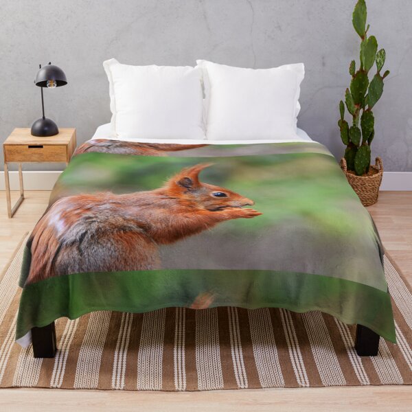 Item preview, Red Squirrel Close-Up Portrait Nibbling a Nut designed and sold by Shanguai.