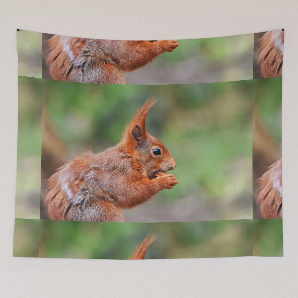Item preview, Red Squirrel Close-Up Portrait Nibbling a Nut designed and sold by Shanguai.