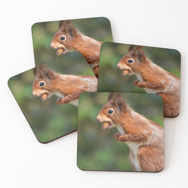 Item preview, Red Squirrel Standing Upright Carrying a Nut designed and sold by Shanguai.