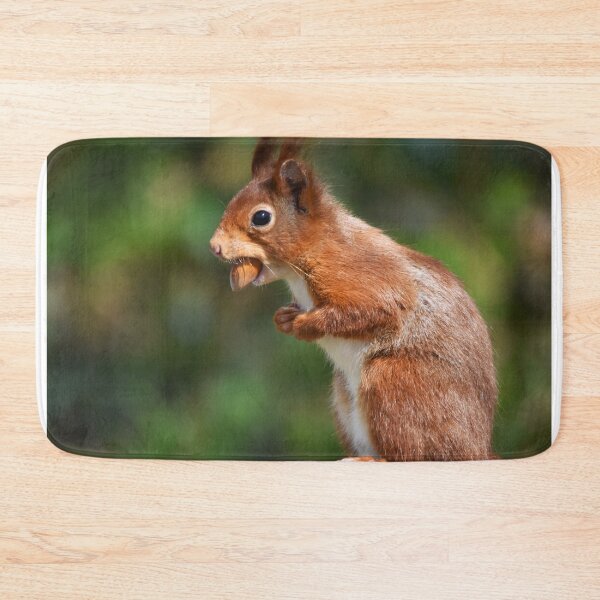 Item preview, Red Squirrel Standing Upright Carrying a Nut designed and sold by Shanguai.
