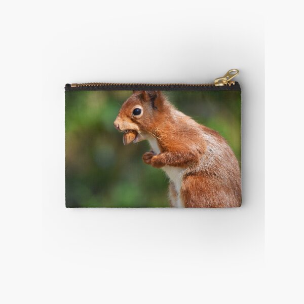 Item preview, Red Squirrel Standing Upright Carrying a Nut designed and sold by Shanguai.