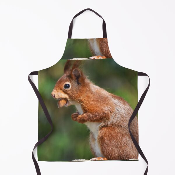 Item preview, Red Squirrel Standing Upright Carrying a Nut designed and sold by Shanguai.