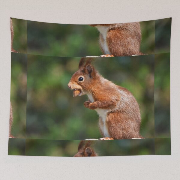 Item preview, Red Squirrel Standing Upright Carrying a Nut designed and sold by Shanguai.