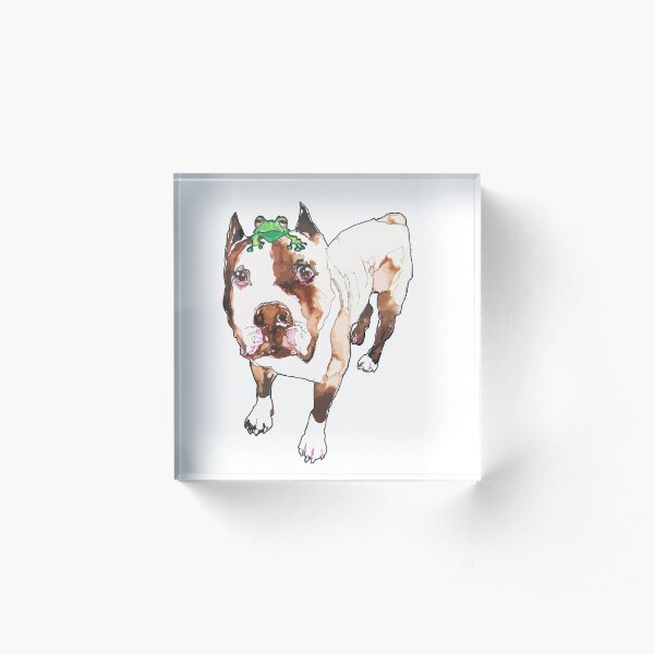 Pitbull dog and his Friend Frog Acrylic Block