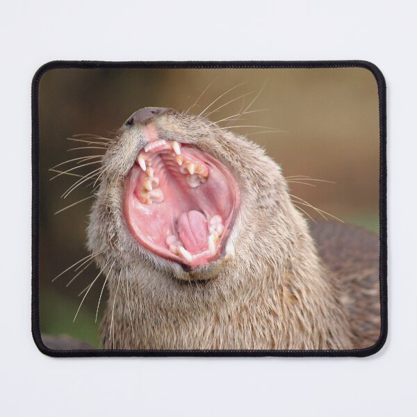 Item preview, fish designed and sold by Murph's Images.