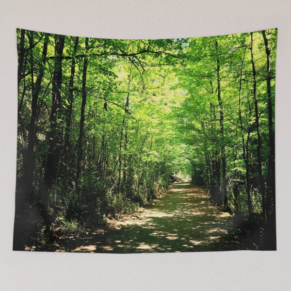 Item preview, Yarrangobilly Path designed and sold by Dalekboy.