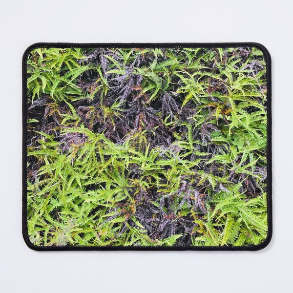 Item preview, Mayotte ferns designed and sold by IMRAAN976.
