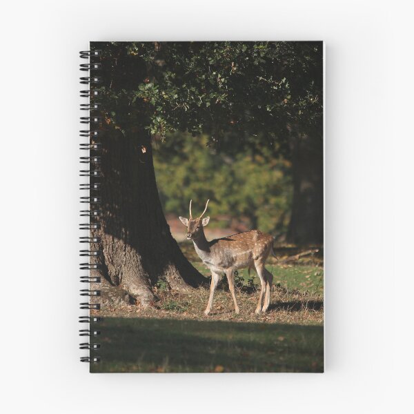 Item preview, another young buck designed and sold by Murph's Images.