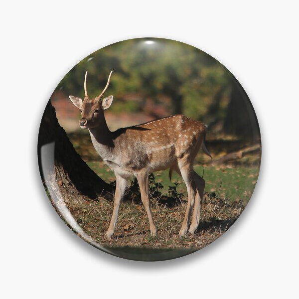 Item preview, another young buck designed and sold by Murph's Images.