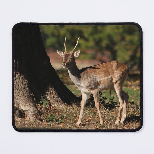 Item preview, another young buck designed and sold by Murph's Images.