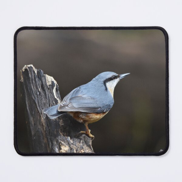 Item preview, Eurasian Nuthatch Perched on a Weathered Tree Stump designed and sold by Shanguai.