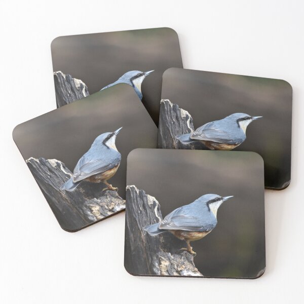 Item preview, Eurasian Nuthatch Perched on a Weathered Tree Stump designed and sold by Shanguai.