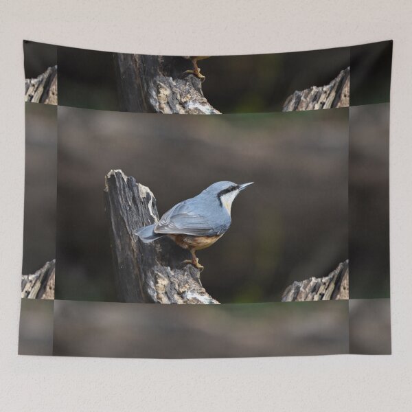 Item preview, Eurasian Nuthatch Perched on a Weathered Tree Stump designed and sold by Shanguai.
