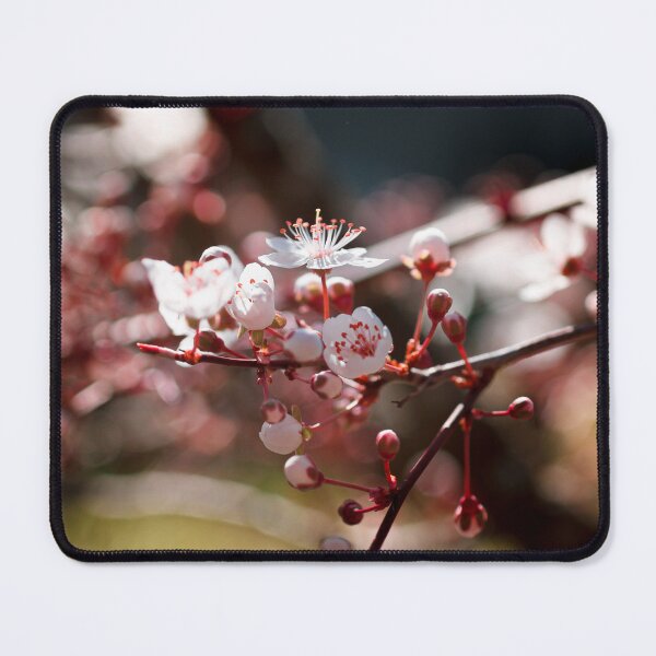 Item preview, Blooming tree II designed and sold by likiska.