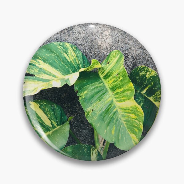 Item preview, Flores Mayotte #2 designed and sold by IMRAAN976.