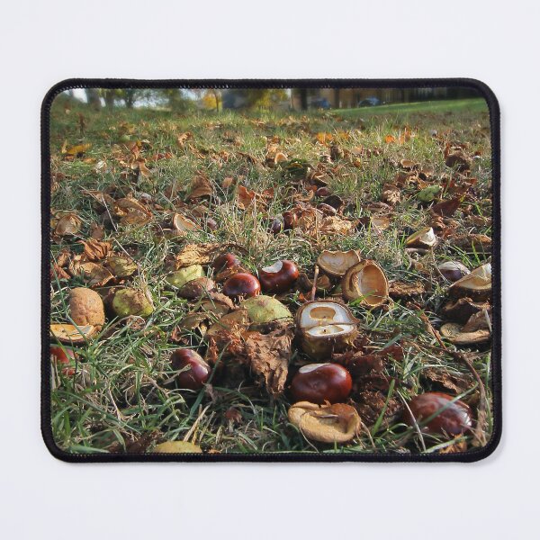Item preview, conkers on the close designed and sold by Murph's Images.