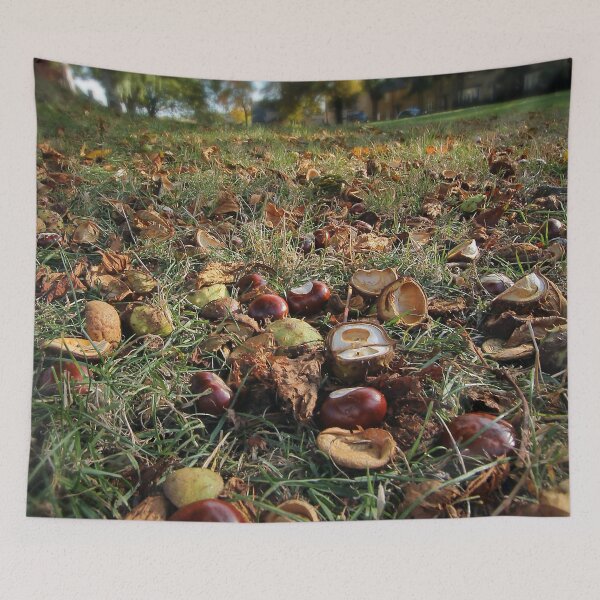 Item preview, conkers on the close designed and sold by Murph's Images.