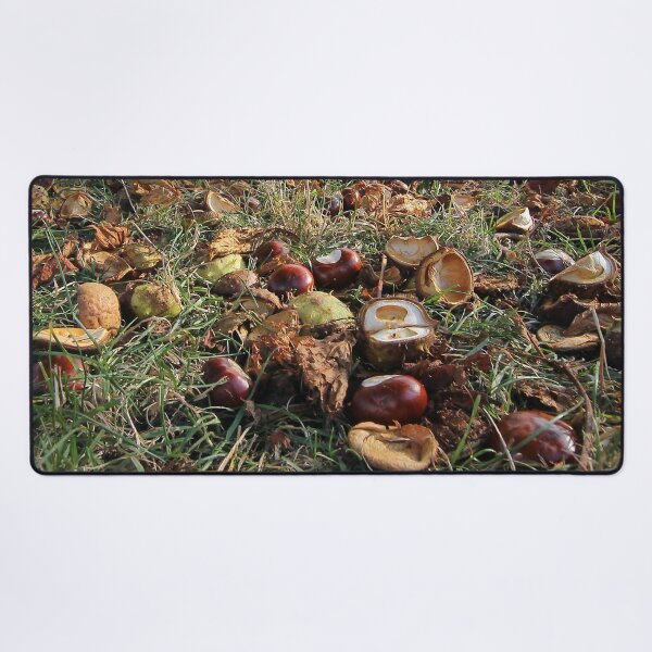Item preview, conkers on the close designed and sold by Murph's Images.