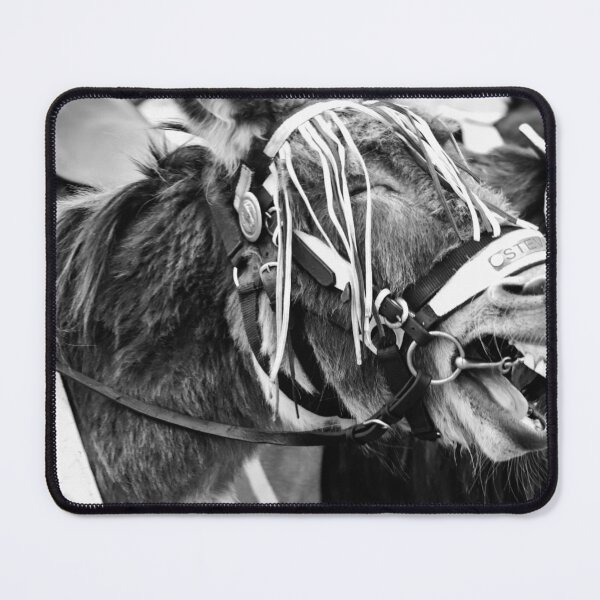 Item preview, Donkey designed and sold by ZGTDesign.