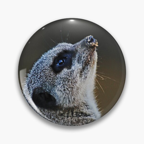 Item preview, dreaming of the Kalahari designed and sold by Murph's Images.