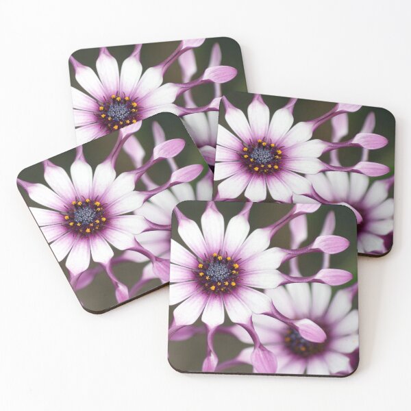 Item preview, daisy explosion designed and sold by Murph's Images.