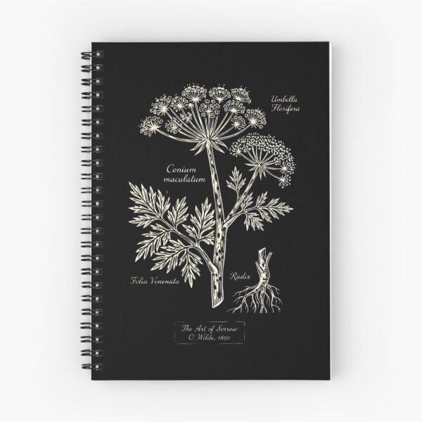 Item preview, Oscar Wilde Hemlock - Conium maculatum Botanical Study - Dark Academia designed and sold by nbg2012.
