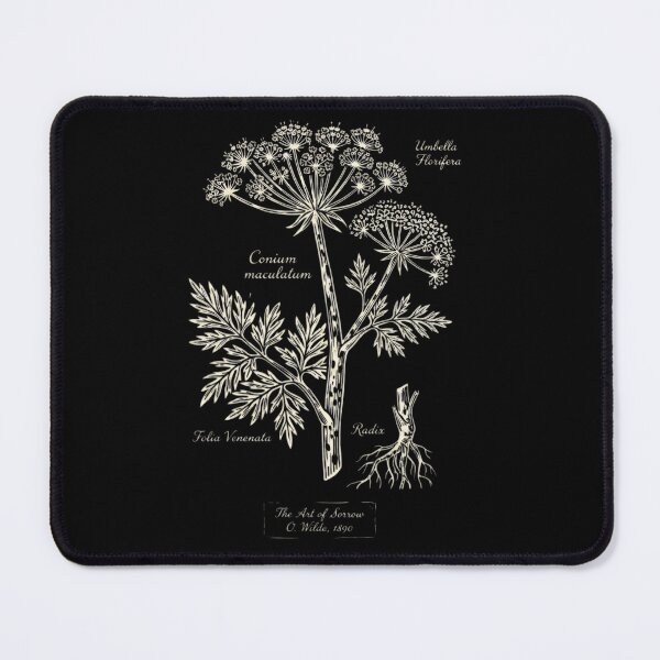 Item preview, Oscar Wilde Hemlock - Conium maculatum Botanical Study - Dark Academia designed and sold by nbg2012.
