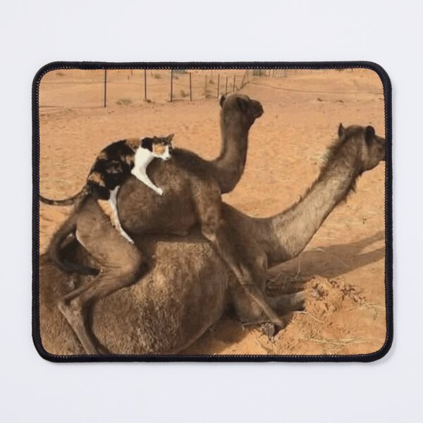 Item preview, Cat on a Camel on a Camel (LOW RES) designed and sold by Fire TheMann.