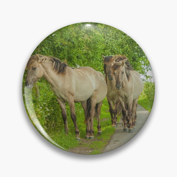 Item preview, Wild Konik horses on a path in the Netherlands designed and sold by Photopat.