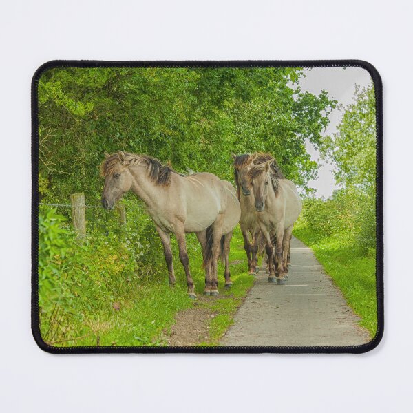 Item preview, Wild Konik horses on a path in the Netherlands designed and sold by Photopat.
