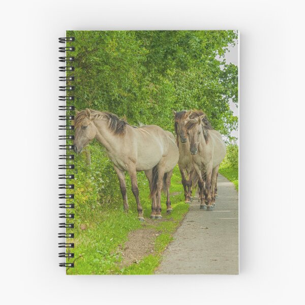 Item preview, Wild Konik horses on a path in the Netherlands designed and sold by Photopat.
