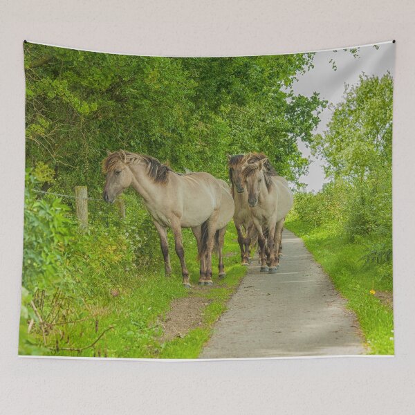 Item preview, Wild Konik horses on a path in the Netherlands designed and sold by Photopat.