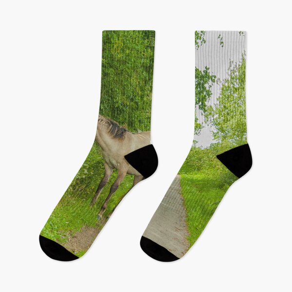 Item preview, Wild Konik horses on a path in the Netherlands designed and sold by Photopat.