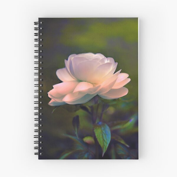 Item preview, Ranunculus Blossom designed and sold by Jessica Jenney.