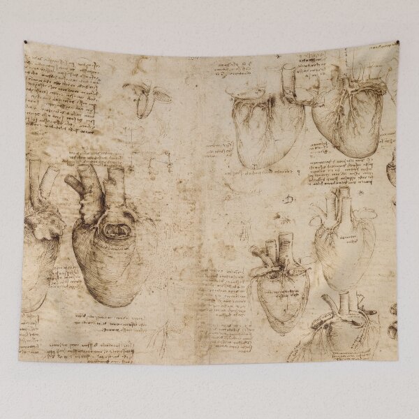 Item preview, The Heart and Coronary Vessels by Leonardo da Vinci Renaissance Anatomical Study Fine Art Print designed and sold by artofuniverse.