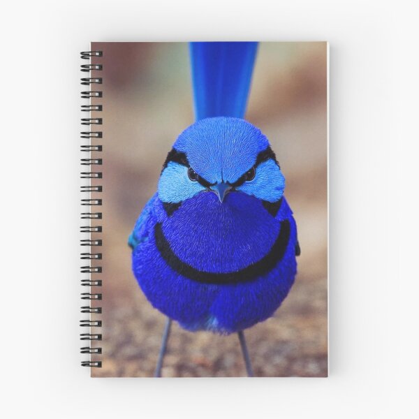 Item preview, Bird designed and sold by di-Vera-Rosati.