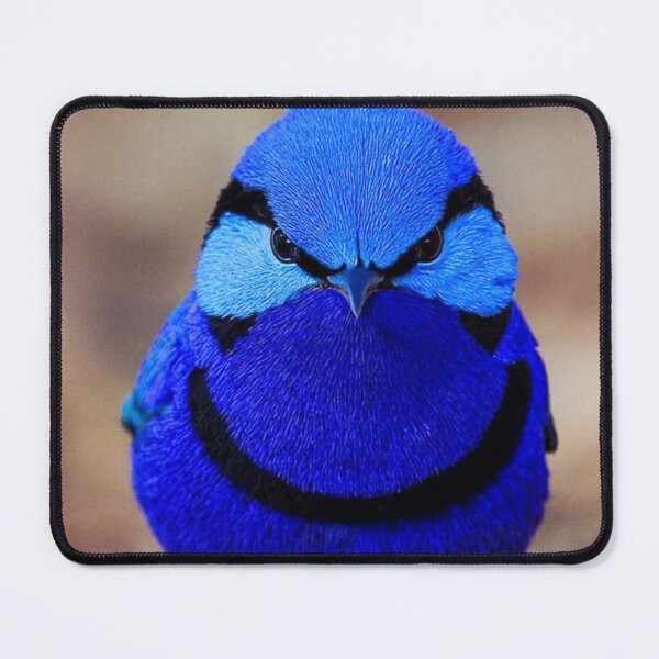 Item preview, Bird designed and sold by di-Vera-Rosati.