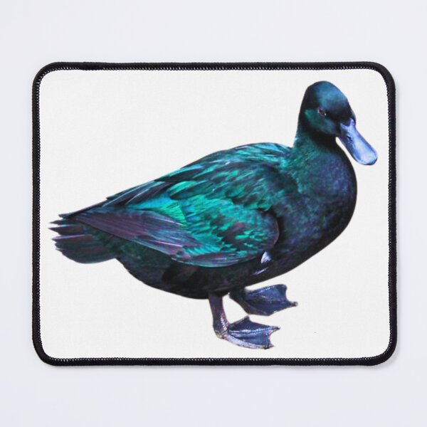 Item preview, Duck designed and sold by di-Vera-Rosati.