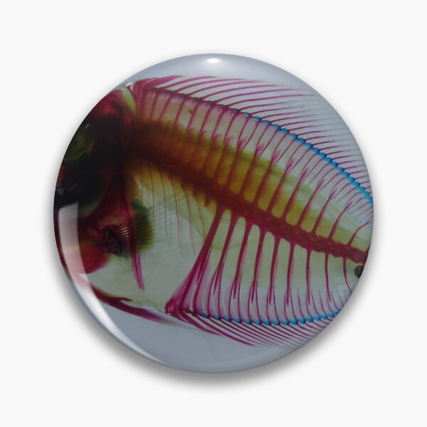 Item preview, Diaphanization 19 designed and sold by Chloé Sauvage.