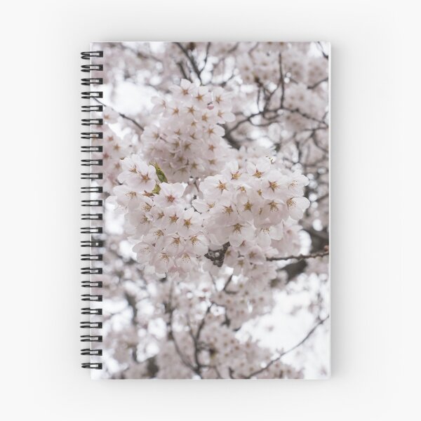 Item preview, Soft Pink Sakura Cherry Blossoms in Bloom designed and sold by Georgia Mizuleva.