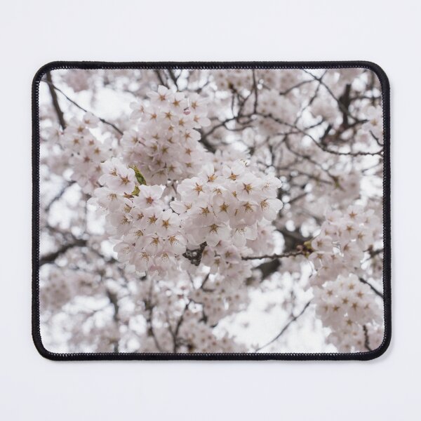 Item preview, Soft Pink Sakura Cherry Blossoms in Bloom designed and sold by Georgia Mizuleva.