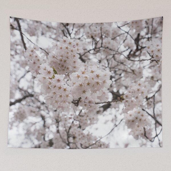 Item preview, Soft Pink Sakura Cherry Blossoms in Bloom designed and sold by Georgia Mizuleva.