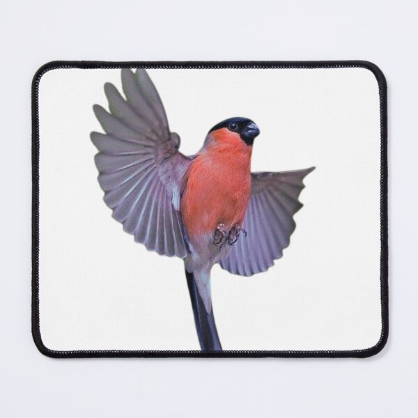 Item preview, Bullfinch in flight designed and sold by di-Vera-Rosati.