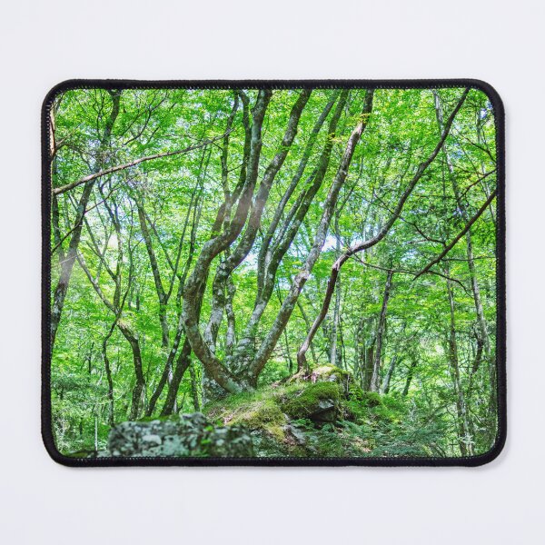 Item preview, Mystical Green Forest Light – Enchanted Mossy Woods in Japan Nature Photography designed and sold by clipboxjp.