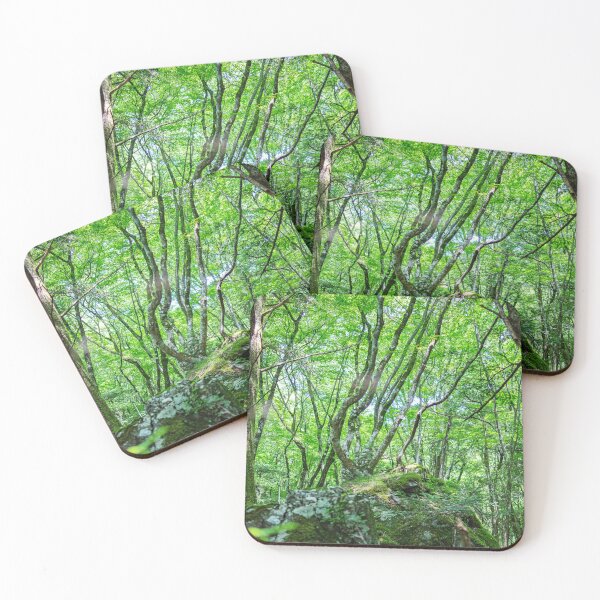 Item preview, Mystical Green Forest Light – Enchanted Mossy Woods in Japan Nature Photography designed and sold by clipboxjp.