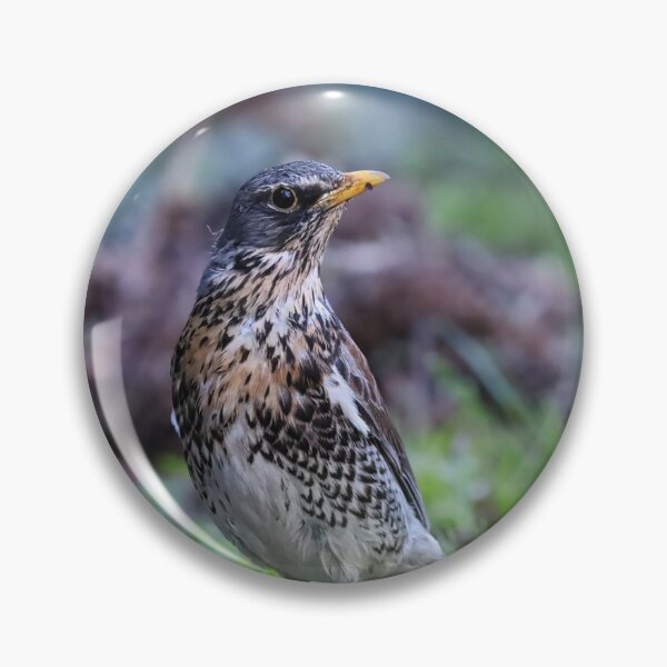 Item preview, Portrait of a fieldfare bird in a spring meadow. designed and sold by NaturePhotography.